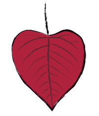 heart leaf